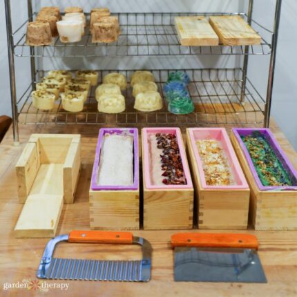 soaps ready for cutting